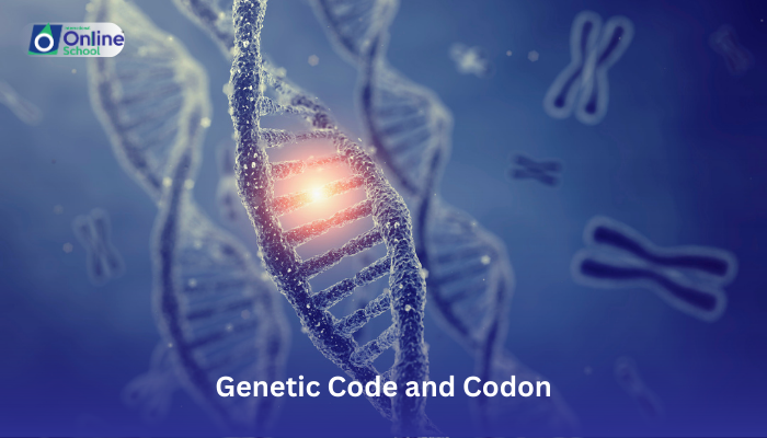 Lesson 13: Differentiation Between Genetic Code and Codon